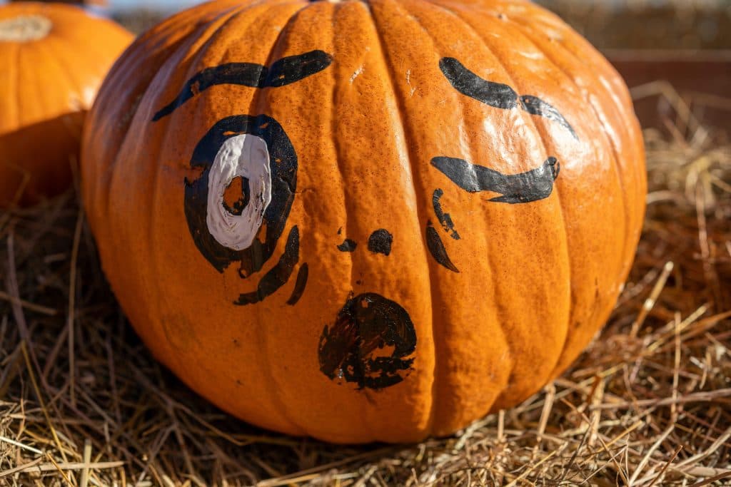 Cover Image for Frightful fun!