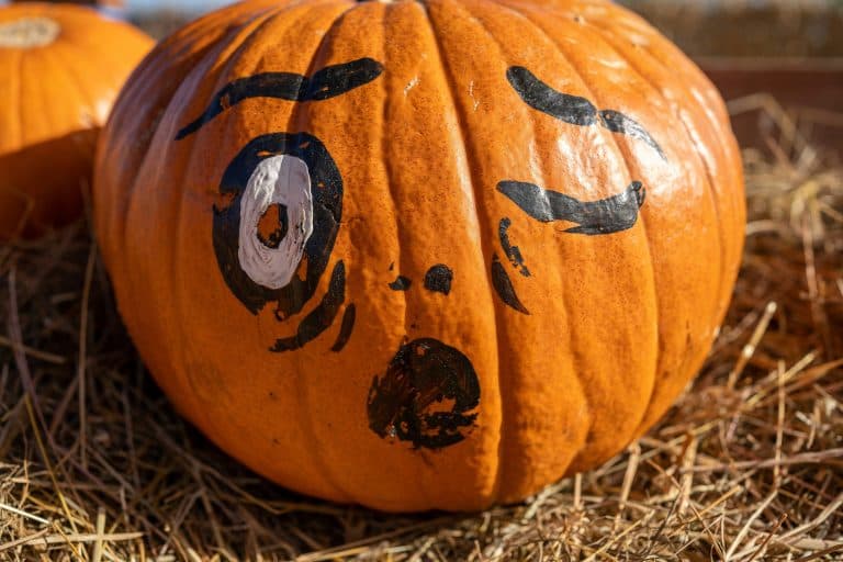 Cover Image for Frightful fun!